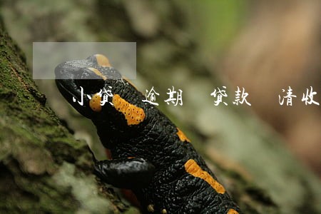小贷 逾期 贷款 清收 小贷 逾期 贷款 清收